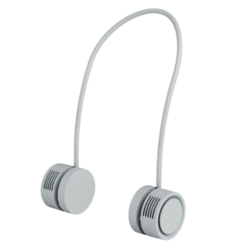 IP Licensed fan product